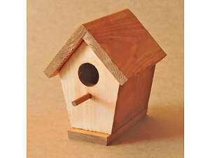 Шпаківня садова 'Синичка' каррі