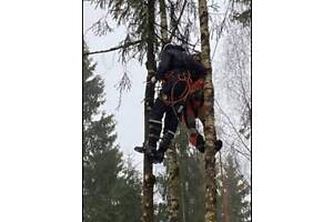 Спиливание, обрезка дерева без вышки