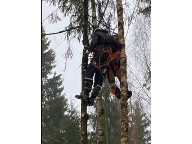 Спиливание, обрезка дерева без вышки