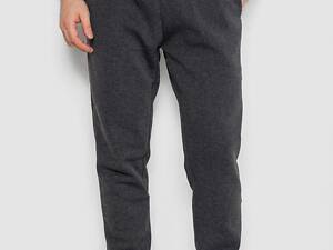 Спортивні штани чоловічі на флісі, колір темно-сірий, 244ROP09