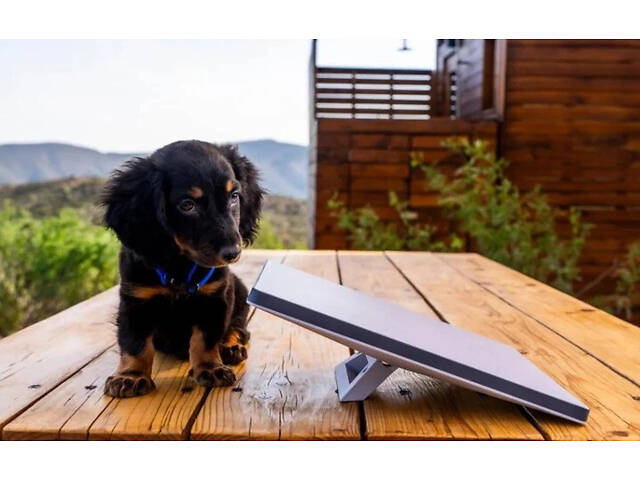 Супутникова система старлінк STARLINK Mini (Roam) - Фото 3