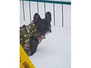 Срочная продажа!