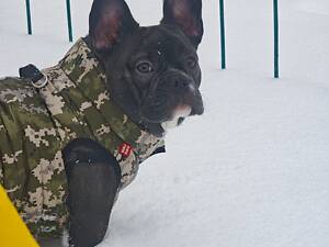 Срочная продажа!