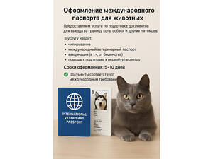Срочное Оформление международного паспорта для животных
