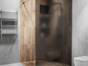 Стеклянная душевая перегородка Alfa-Glass 2000х600мм стекло графит интим зона цвет фурнитуры PSS полированная (model-A.3