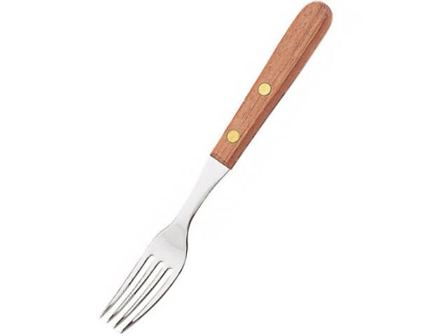 Столова вилка Tramontina Dynamic 3 шт (22302/300) - Фото 1