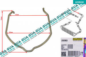 Стопор/фіксатор патрубка інтеркулера ( утримуюча пружина/скоба ) 1ШТ 25582 VW/ВОЛЬКС ВАГЕН TRANSPORTER V 2003-