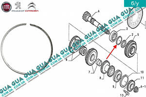 Стопорное кольцо переднего подшипника вторичного вала КПП 7903066197 Citroen / СИТРОЭН JUMPY 1995-2004 / ДЖАМПИ 1, Citro