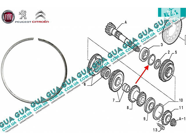 Стопорное кольцо переднего подшипника вторичного вала КПП 7903066197 Citroen / СИТРОЭН JUMPY 1995-2004 / ДЖАМПИ 1, Citro