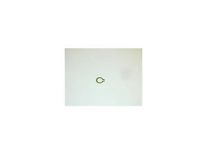 Стопорное кольцо ШРУСа N0124082