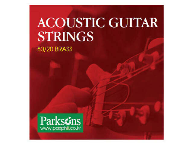 Струни для гітари Parksons Acoustic L (12-52) (S1252) - Фото 1