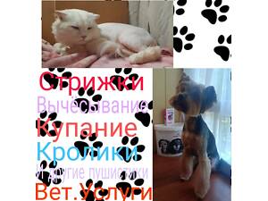 Стрижка животных.Грумер.Вычёсывание.Услуги для животных.Кролики