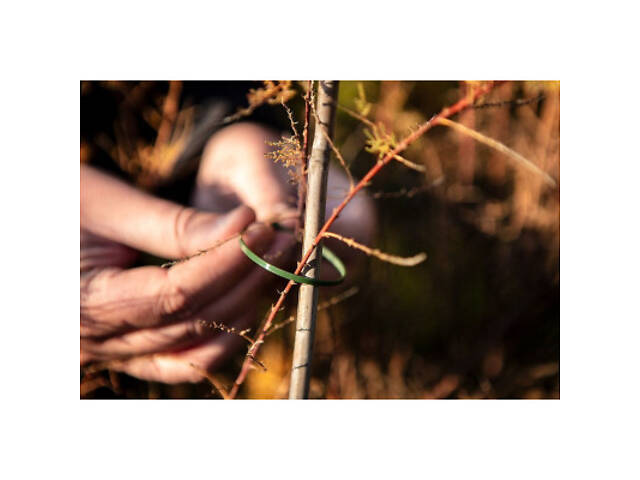 Стяжка Neo Tools 50шт, пластик, 4.8х160мм, зелена (15-979) - Фото 2