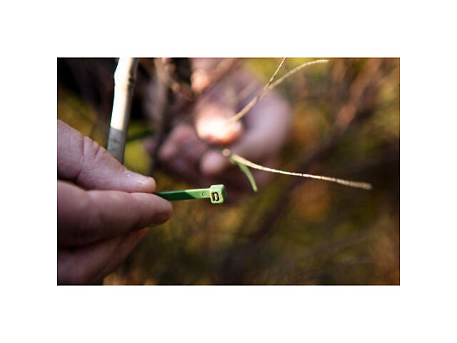 Стяжка Neo Tools 50шт, пластик, 4.8х160мм, зелена (15-979) - Фото 3