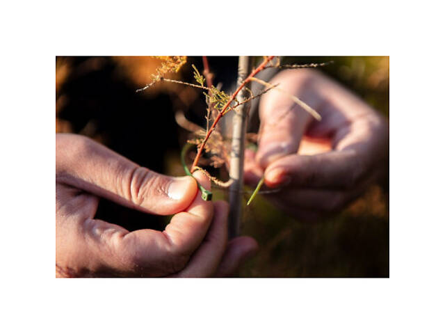 Стяжка Neo Tools 50шт, пластик, 4.8х160мм, зелена (15-979) - Фото 4