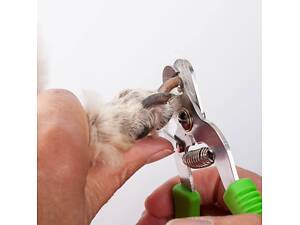 Стижка кігтиків для всіх видів тварин, підрізання копитець для міні пігів