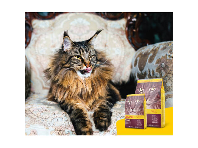 Сухий корм для кошек Josera Senior 2 кг (4032254757832) - Фото 7