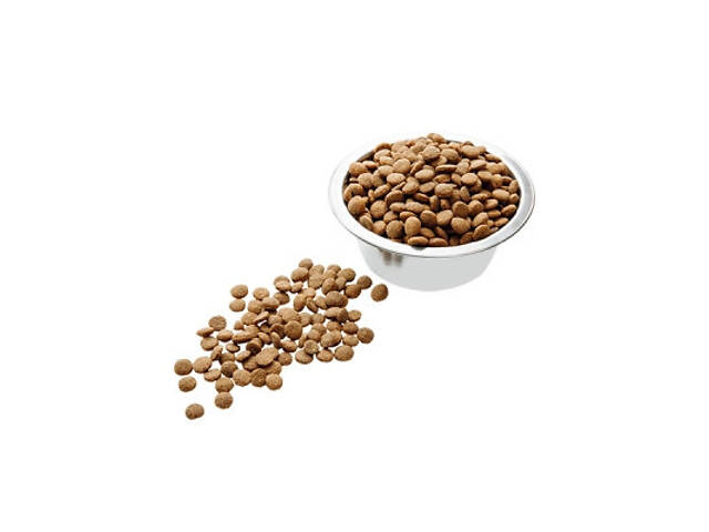 Сухий корм для кошек Пан Кот Класик для кошенят 10 кг (4820111140176) - Фото 2