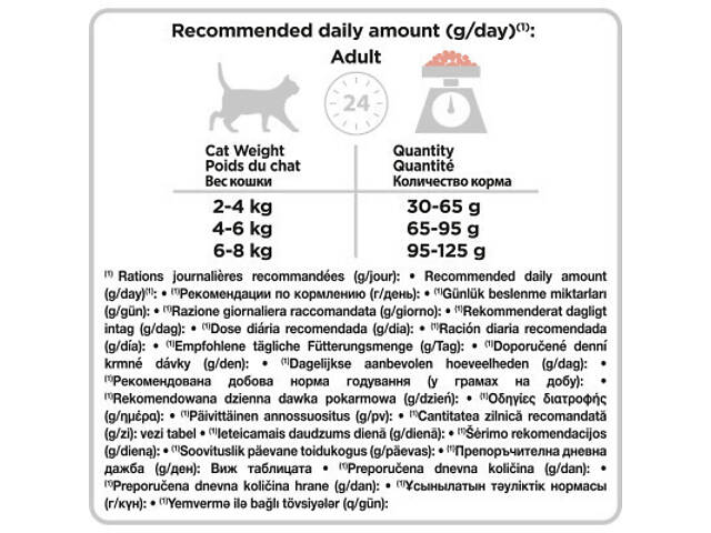 Сухий корм для кошек Purina Pro Plan Elegant з лососем 10 кг (7613036529235) - Фото 6