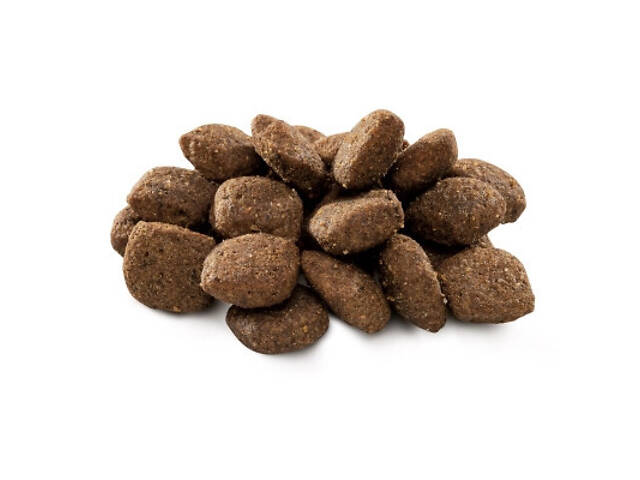 Сухий корм для собак Brit Premium Dog Sensitive Lamb 1 кг (8595602526611) - Фото 2