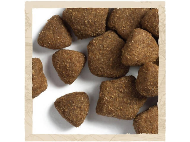 Сухий корм для собак Purina Dog Chow Adult Lamb зі смаком ягнятини 2.5 кг (7613034485946) - Фото 4
