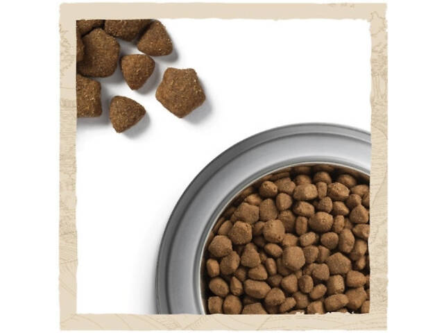 Сухий корм для собак Purina Dog Chow Adult Lamb зі смаком ягнятини 2.5 кг (7613034485946) - Фото 5