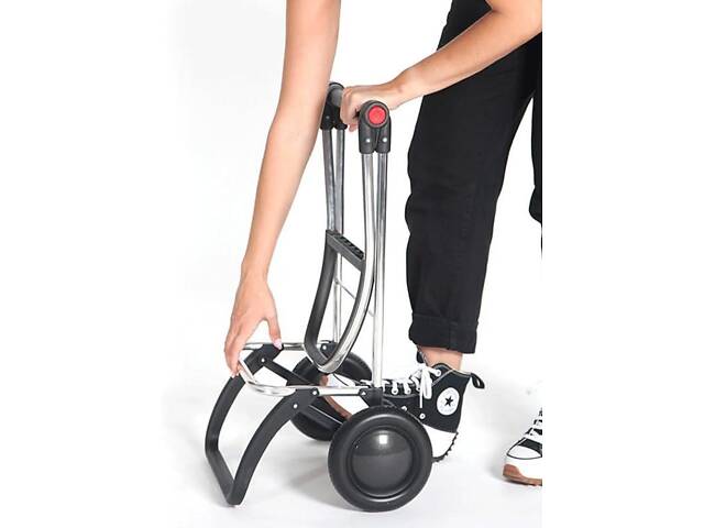 Сумка-візок Rolser Big Polar 2L Negro (BIG004-1023) - Фото 8