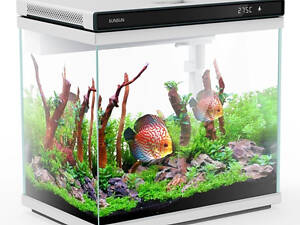 SunSun Аквариумный комплект SunSun XHE-300 белый 12л, 30х20х32 см