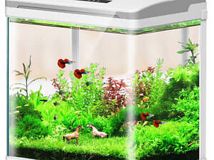 SunSun Аквариумный комплект SunSun HRX-300 белый 13л, 29х20х30,5 см