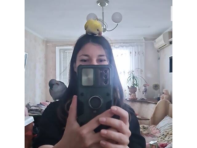 Супер ручные говорящие попугаи выкормыши птенци - Фото 4