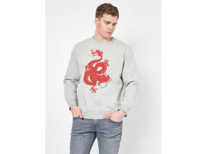 Свитшот мужской H&M 7152739 XXL Серый (2030000228850)