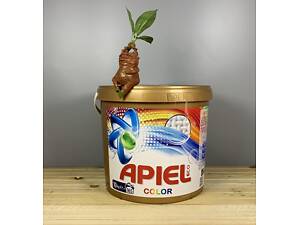 Сыпучий безфосфатный порошок в ведре Apiel Color - 10 кг. 165 стирок.