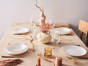 Тарелка LUMINARC APY /25 см /обед. (V8739) (V8739)