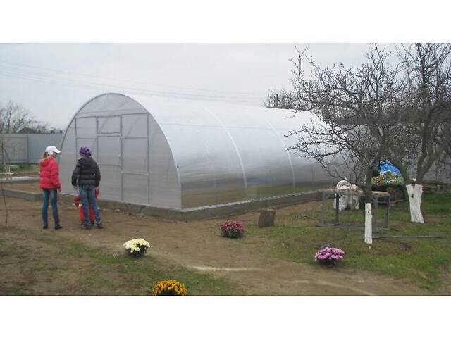 Теплиця «Алмір» 5×10 з оцинкованої квадратної труби з полікарбонатом Soton 6 мм RIG-TORG - Фото 2