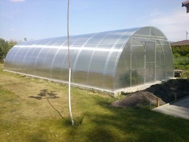 Теплиця «Алмір» 5×10 з оцинкованої квадратної труби з полікарбонатом Soton 6 мм RIG-TORG - Фото 4