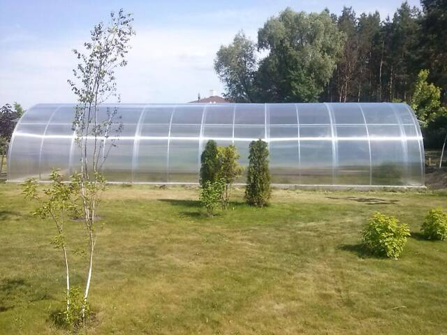 Теплиця «Алмір» 5×10 з оцинкованої квадратної труби з полікарбонатом Soton 6 мм RIG-TORG - Фото 7