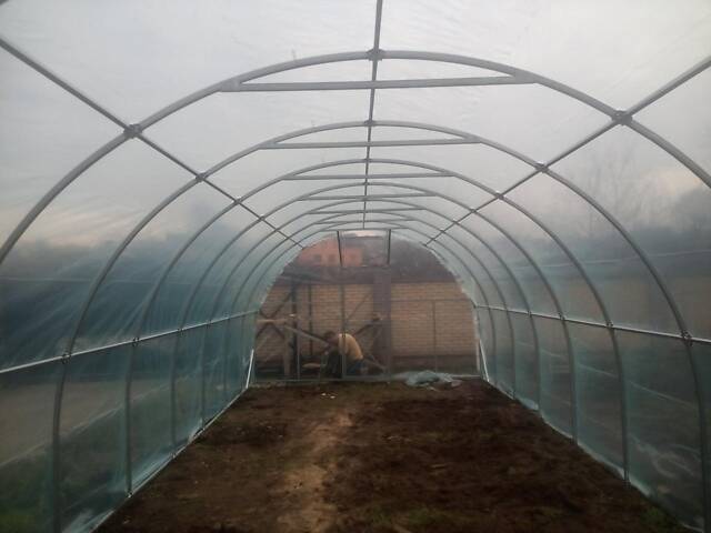 Теплиця 'Файна' 3 х 10 м, (труба оцинкована 30х20 мм.), повний комплект 'Стандарт', плівка UV-4, 100 мкм. - Фото 8