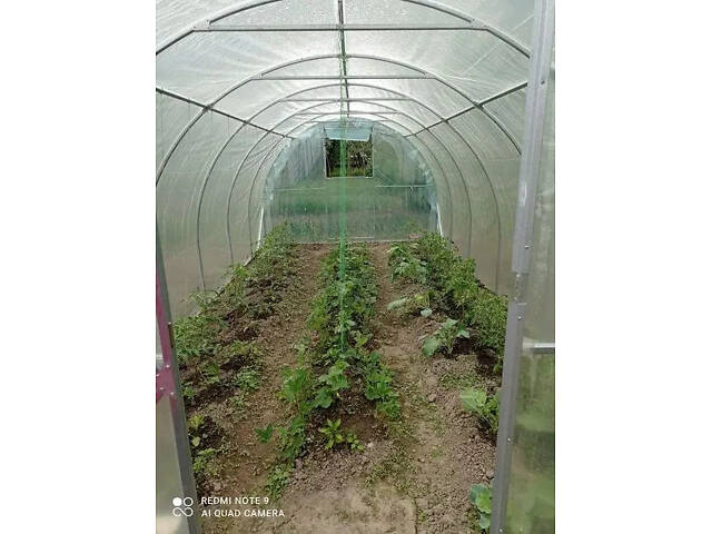 Теплиця 'Файна' 3 х 10 м, (труба оцинкована 30х20 мм.), повний комплект 'Стандарт', плівка UV-4, 100 мкм. - Фото 3