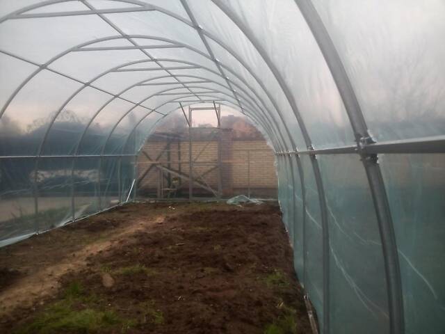 Теплиця 'Файна' 3 х 6 м, (труба оцинкована 30х20 мм.), повний комплект 'Преміум', плівка UV-4, 100 мкм. - Фото 8