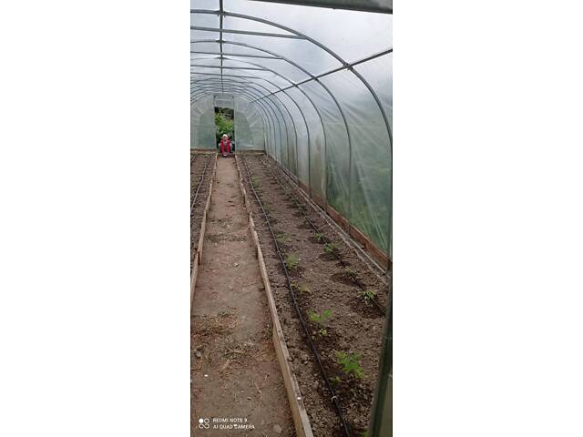 Теплиця 'Файна+' 4 х 6 м, (труба оцинкована 30х20 мм.), повний комплект 'Стандарт', плівка UV-4, 100 мкм. - Фото 6