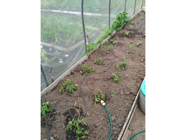 Теплиця 'Косичка' 2 х 5 м, (труба оцинкована 20х20), повний комплект 'Преміум', плівка UV-6, 150 мкм. - Фото 7