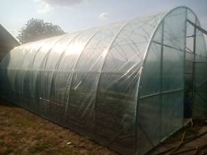 Теплиця 'Західна-5х8', 5х8х3м з плівкою 150 мкм + зигзаг профіль