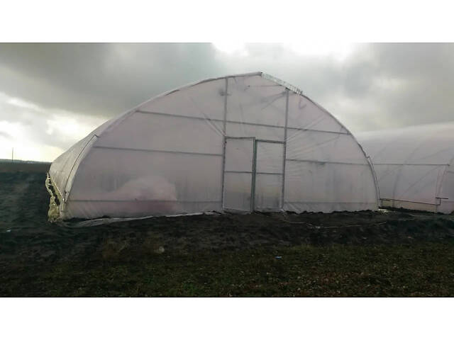 Теплиця 'Західна-8х12' 8х12х3,5м + подвійна плівка 150 мкм + зигзаг профіль - Фото 6