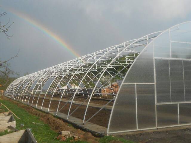 Теплиця 'Західна-8х12' 8х12х3,5м + подвійна плівка 150 мкм + зигзаг профіль - Фото 5