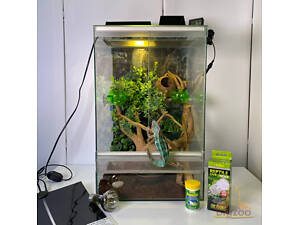 Террариумы/аквариумы и оборудование, террариумы для рептилий, амфибий.