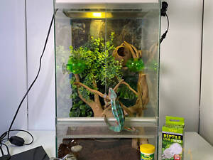 Тераріуми/акваріуми та обладнання, тераріуми для рептилій, амфібій