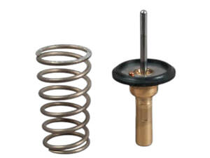 Термостат Aston Martin Cygnet 2011-2013 GATES TH50082G1