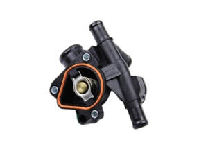 Термостат Nissan Primastar 2001-2024 FACET 7.8737