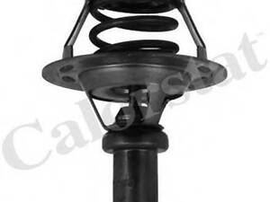 Термостат Renault Rapid Clio 1.2-1.4i 90- (91 C) CALORSTAT BY VERNET TH528491J на RENAULT 19 Mk II седан (L53_)