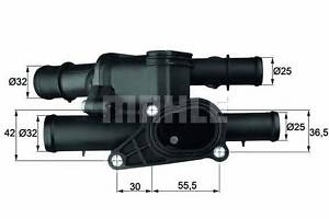 Термостат TM2105